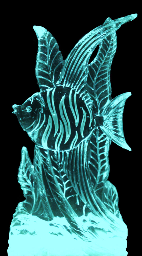 Angelfish