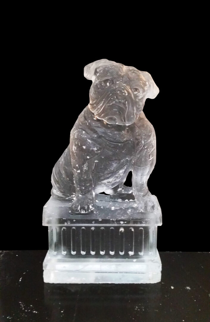 Bulldog