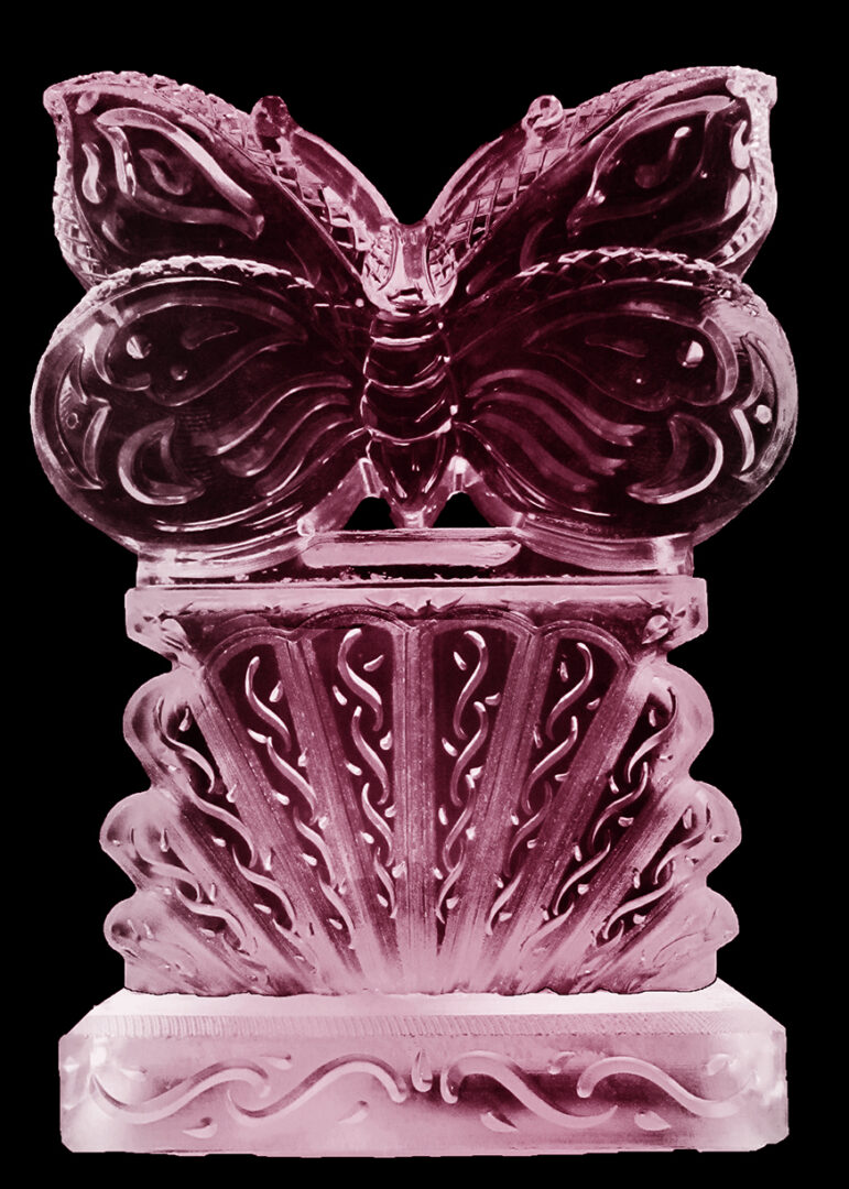 Butterfly 2