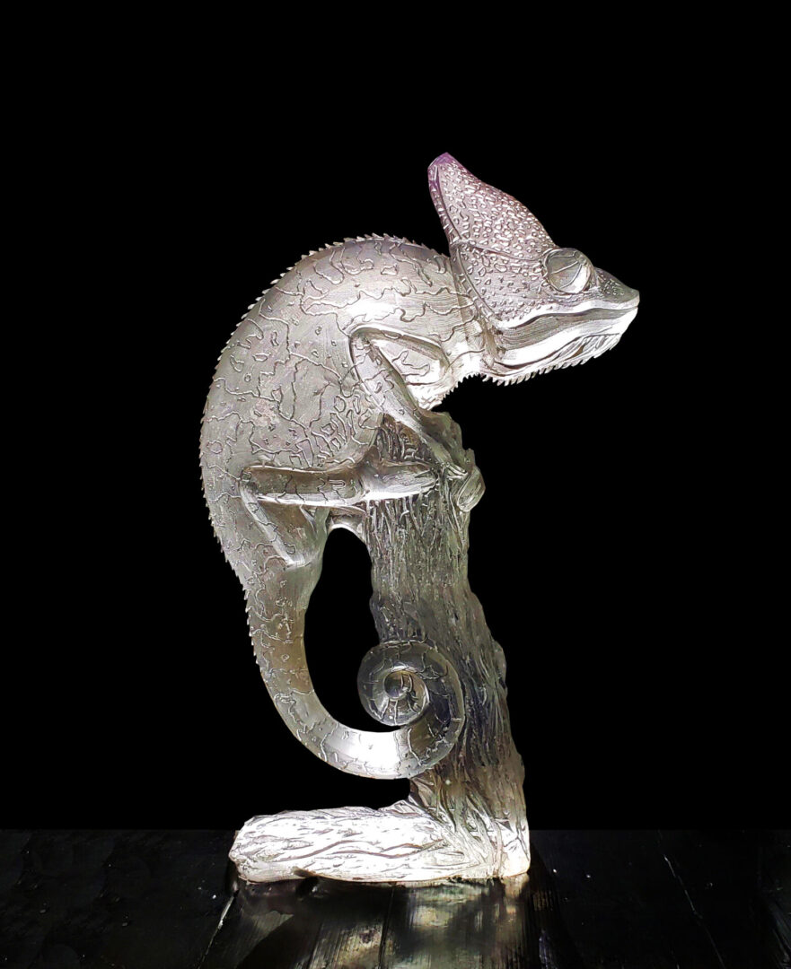 Chameleon