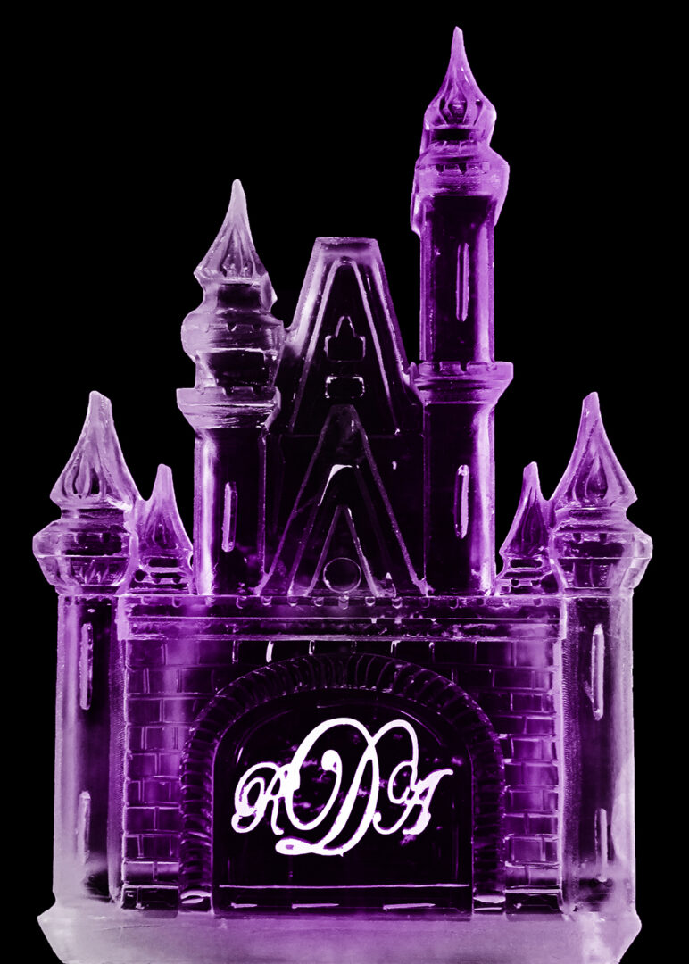 Cindarella Castle 2 Block