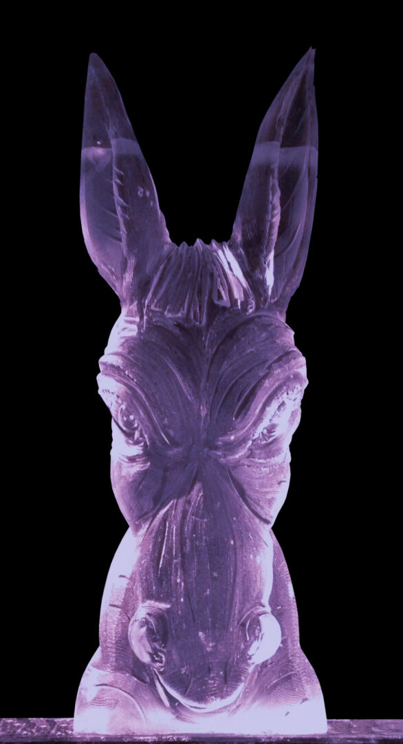 Donkey Head