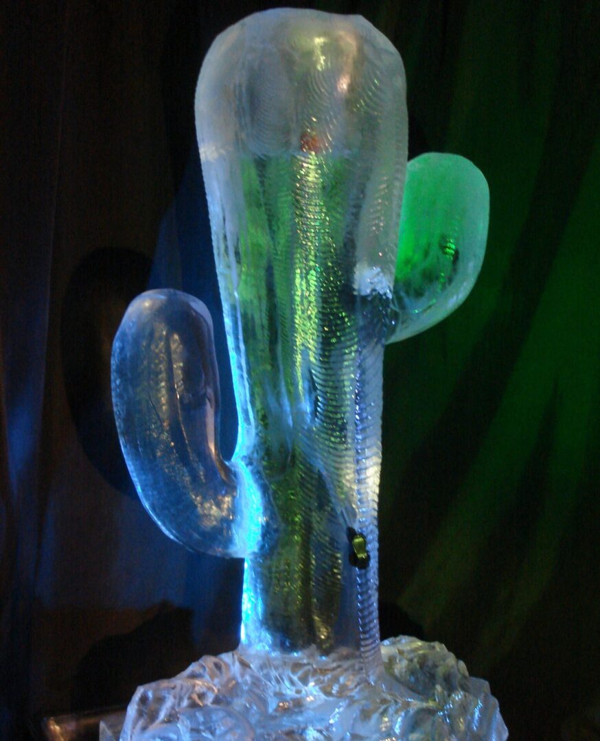 Cactus Dispenser