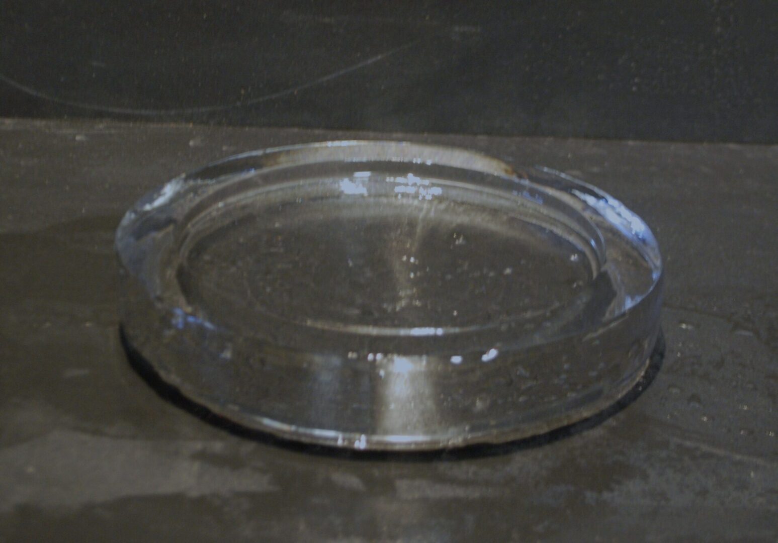Round Plate 8in