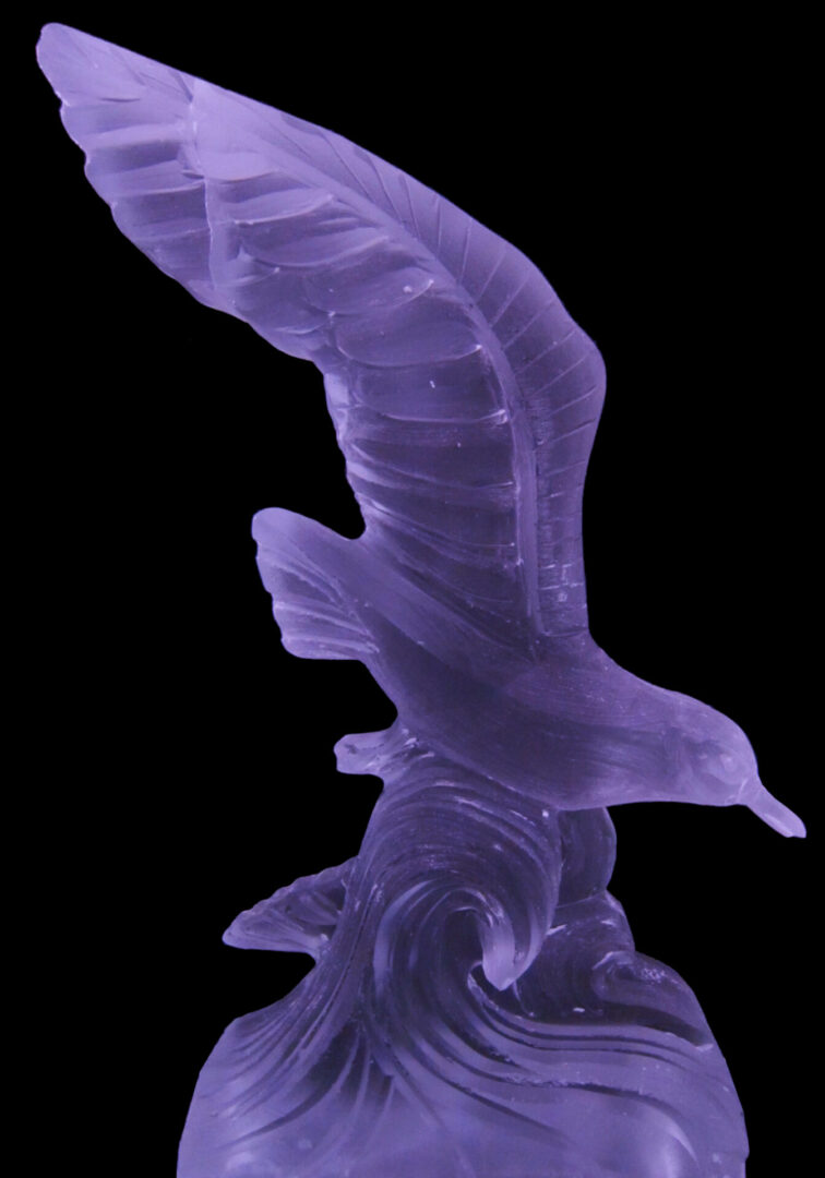 Seagull