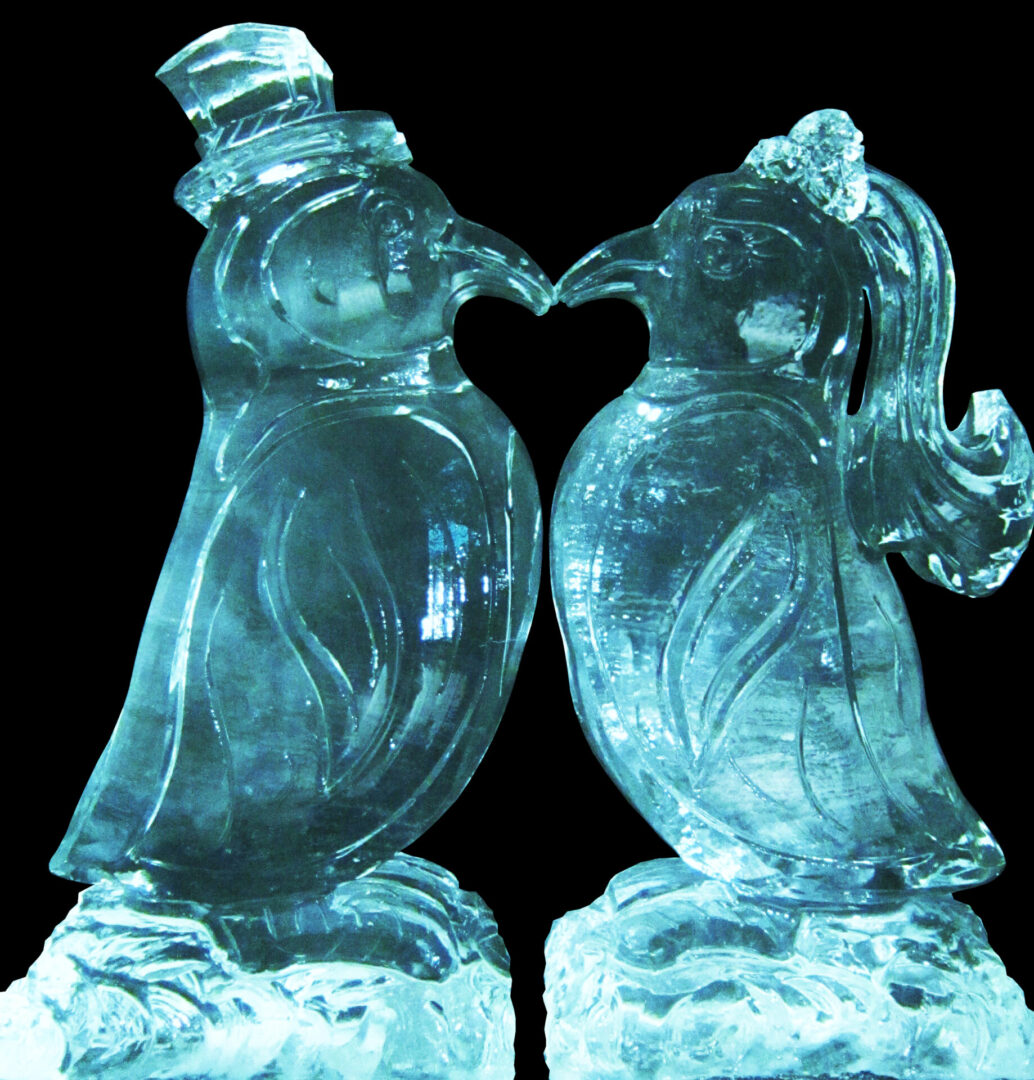 Penguin Bride and Groom 2