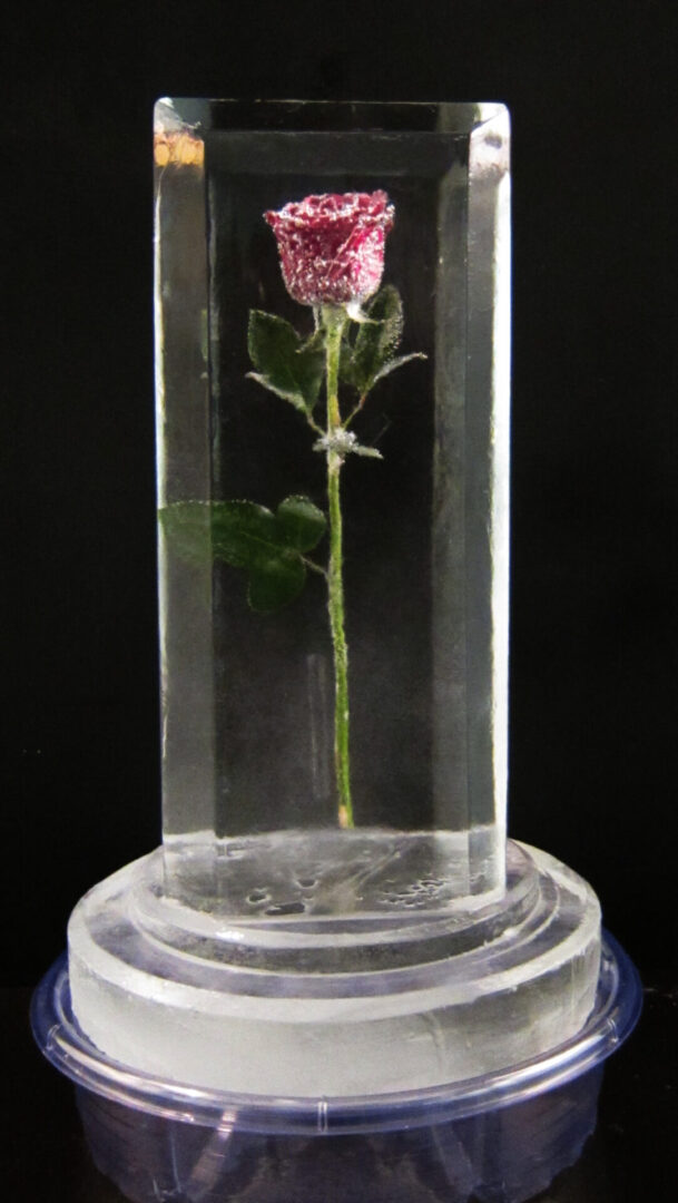 Rose Centerpiece
