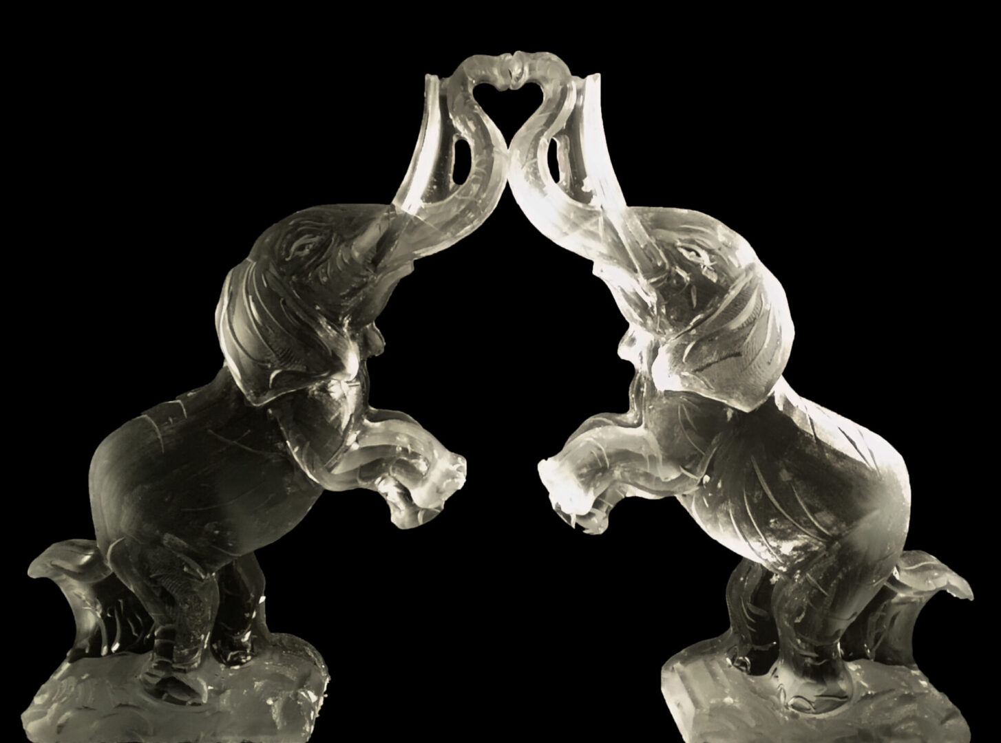Two Elephants forming a Heart